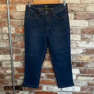 Curve Appeal Blue Skinny Capri Jeans Size 8/29